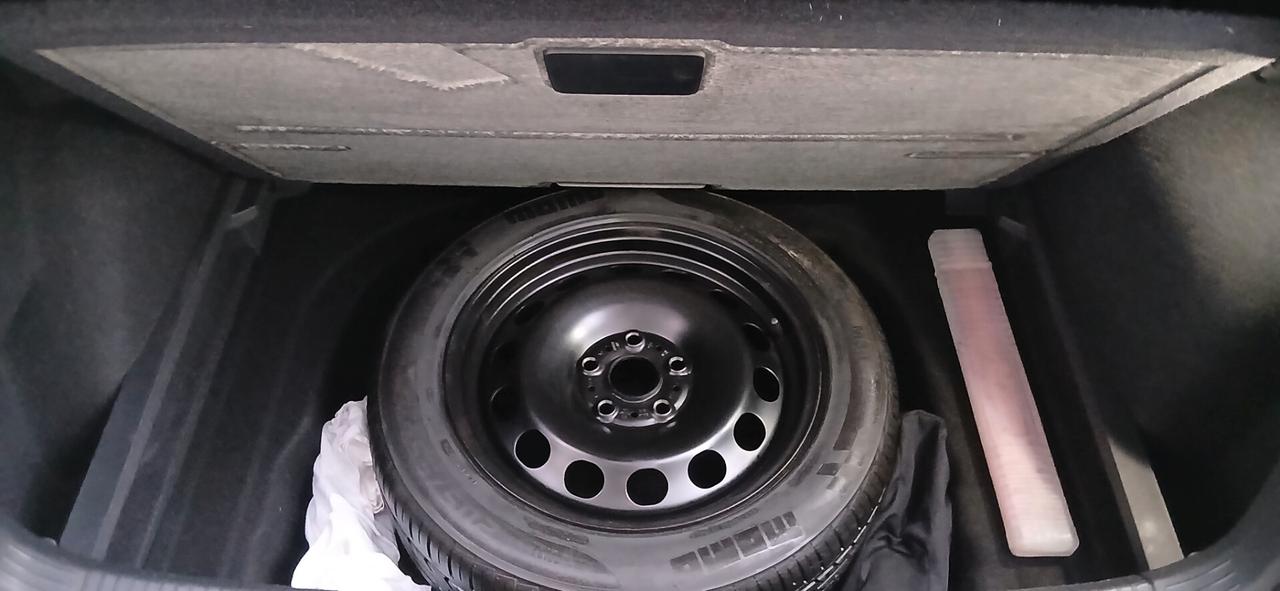 Volkswagen GOLF 8 TDI 2.0 SCR STYLE 116 CV