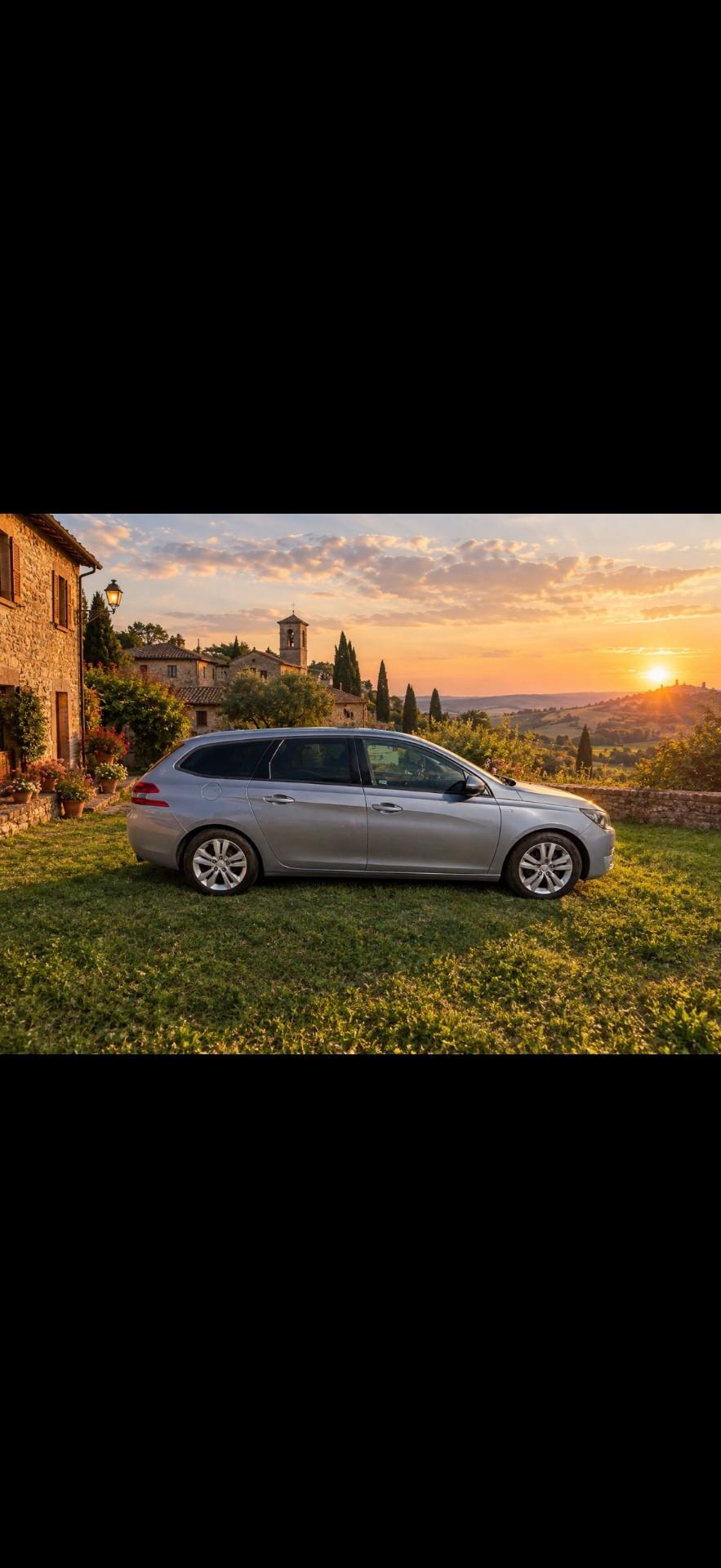 Peugeot 308 1.6 HDi 92 CV Business
