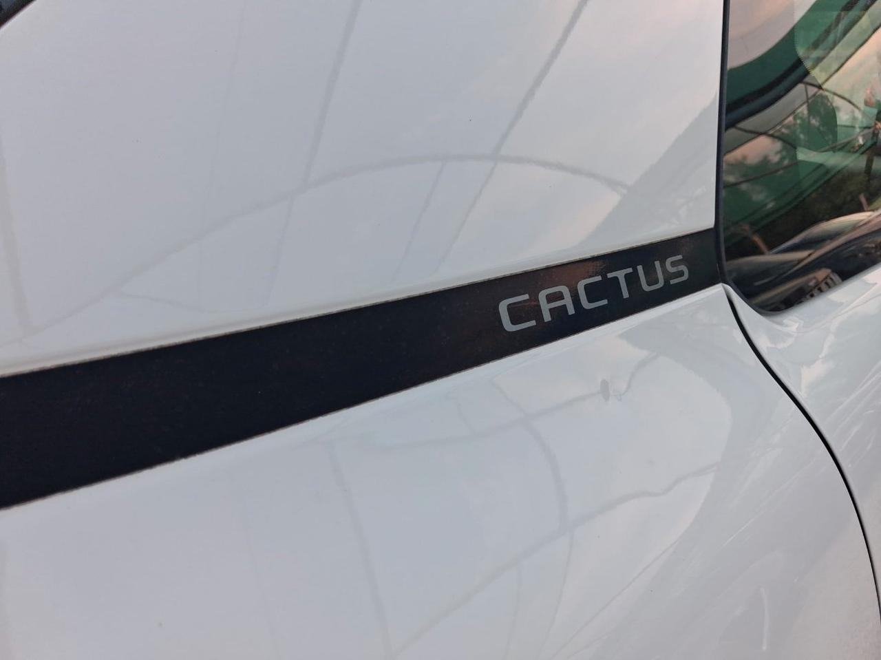Citroen C4 Cactus 1.5 bluehdi Live s&s 100cv