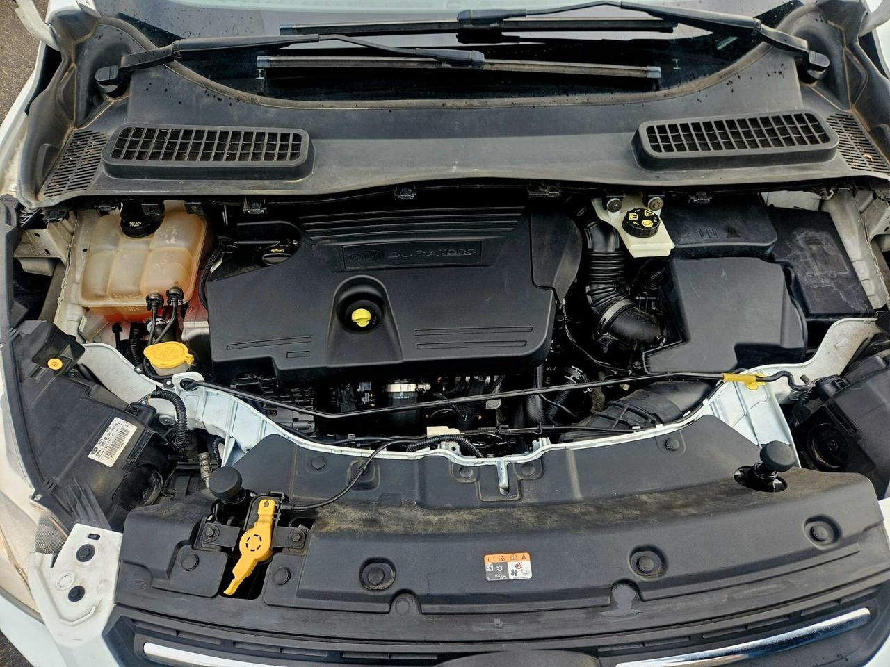 Ford Kuga 2.0 TDCI 150 CV S&S 2WD Titanium