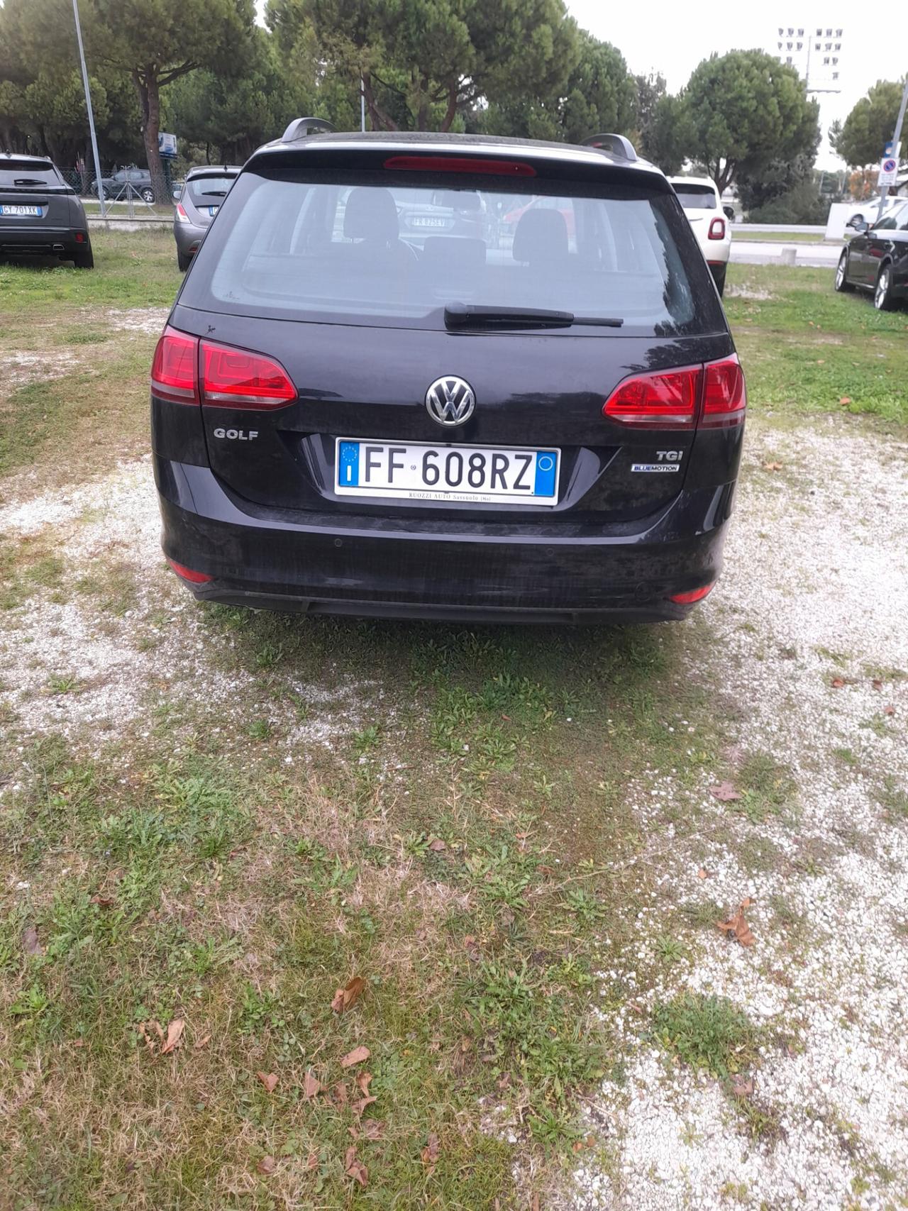 Volkswagen Golf Variant 1.4 TGI 5p. Metano