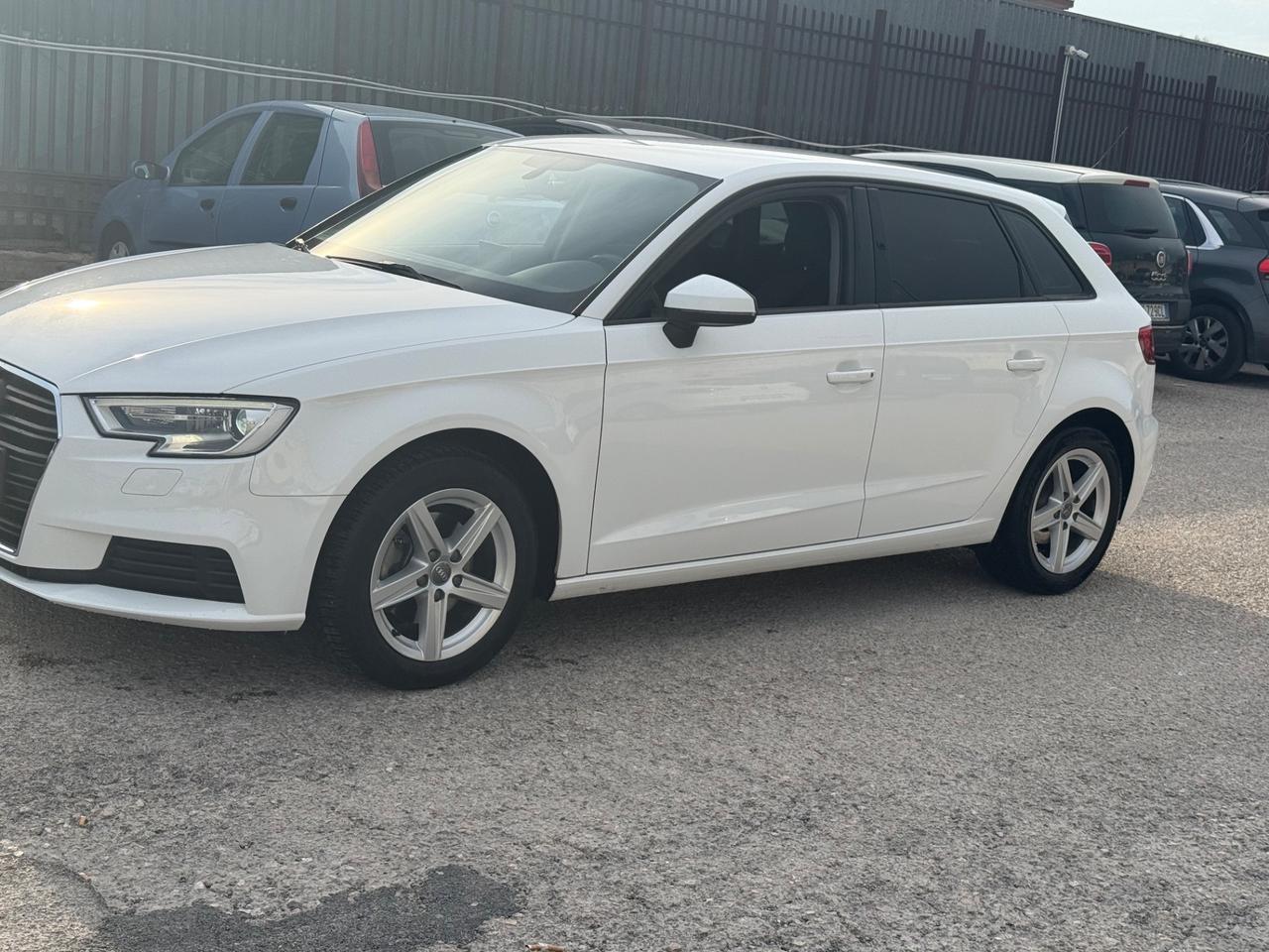 Audi A3 SPB 1.6 TDI 116 CV Business