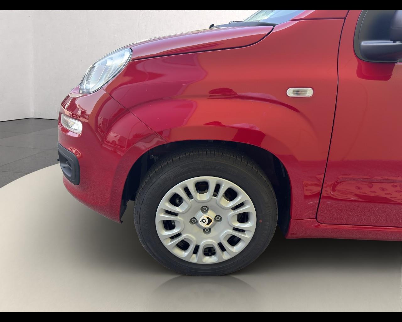 FIAT Panda 1.0 70cv Hybrid Panda