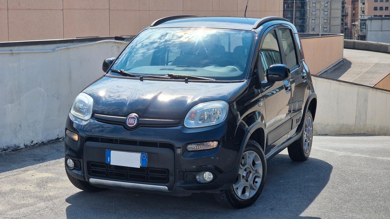 Fiat Panda 1.3 MJT S&S 4x4