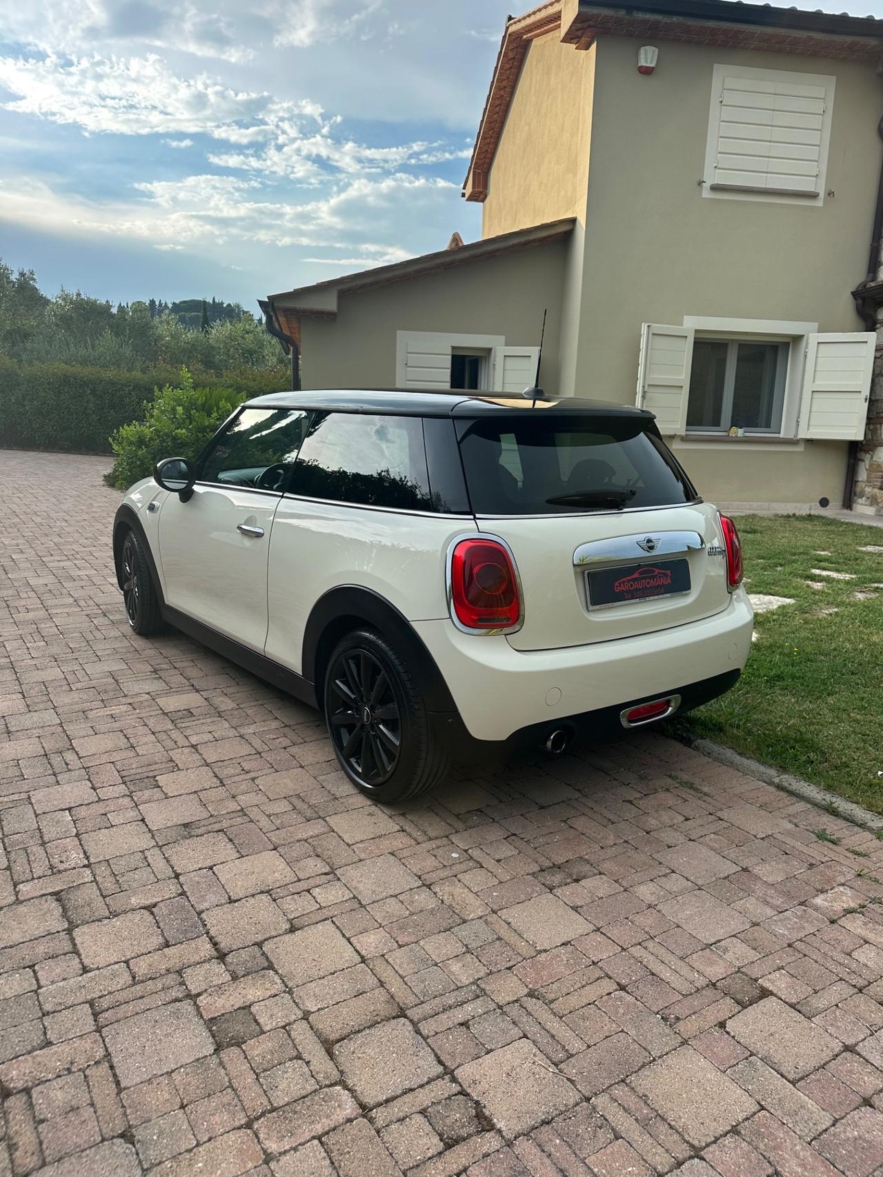 Mini 1.5 One D