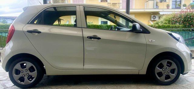 KIA Picanto Picanto 1.0 12V 5p. Easy
