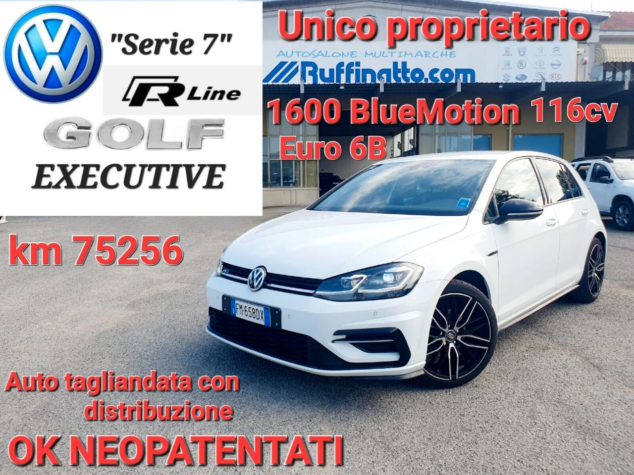 Volkswagen Golf VOLKSWAGEN GOLF 1.6 TDI 115Cv EXSECUTIVE R-LINE BLUE MOTION