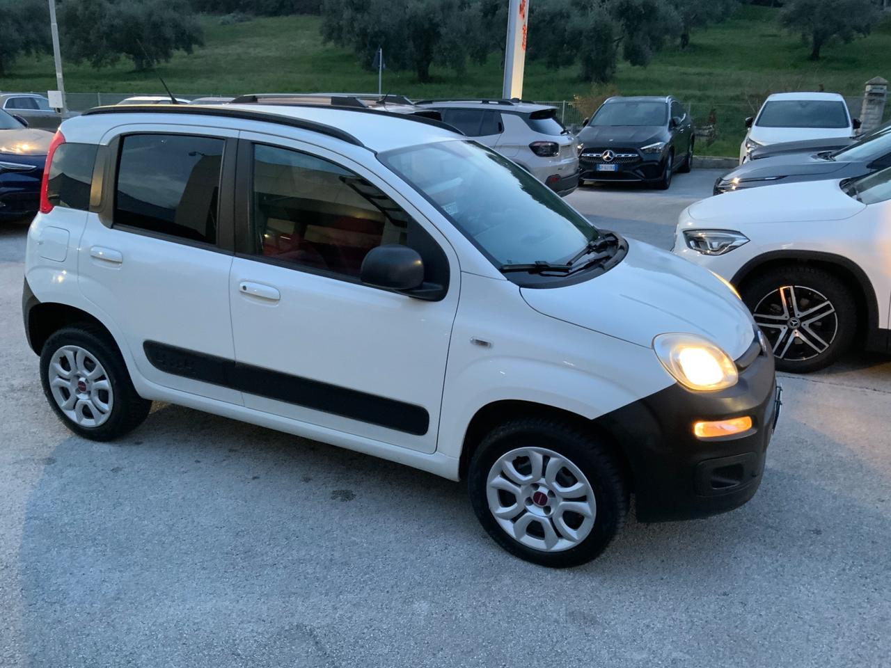 Fiat Panda 1.3 MJT S&S 4x4 Pop Climbing Van 2 posti