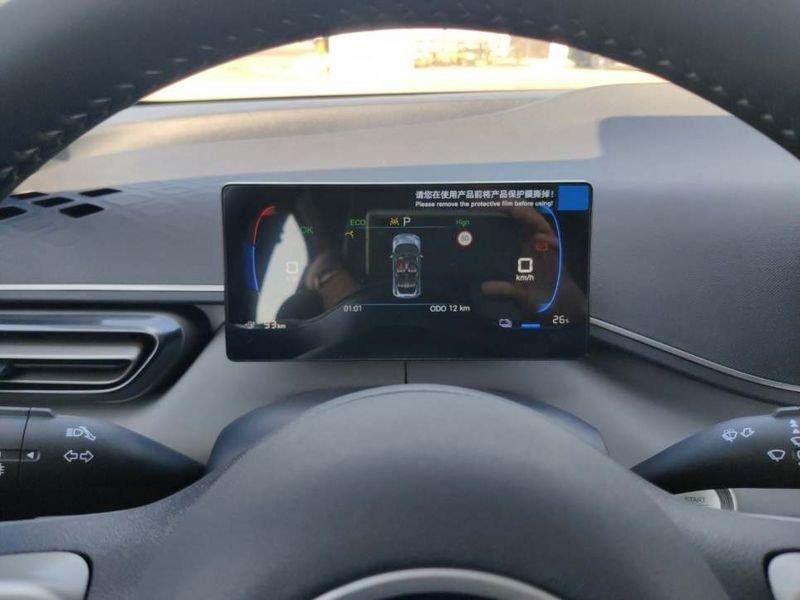 BYD Dolphin Surf Boost