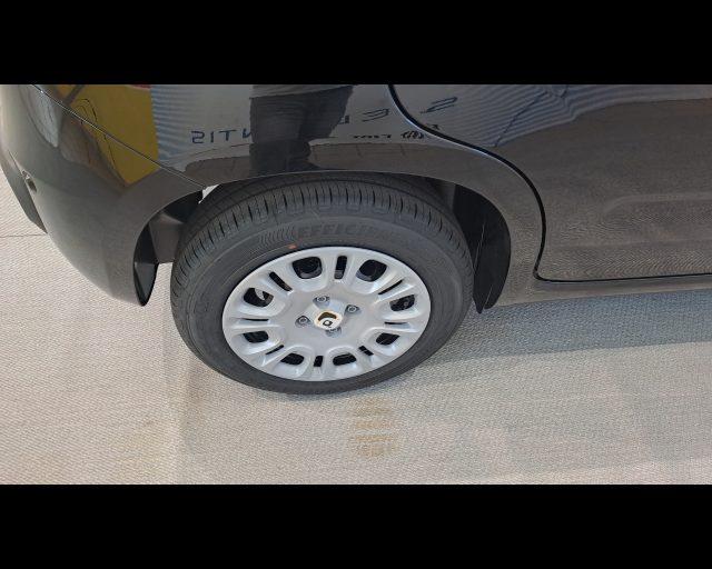 FIAT New Panda 1.0 firefly hybrid s&s 70cv 5p.ti