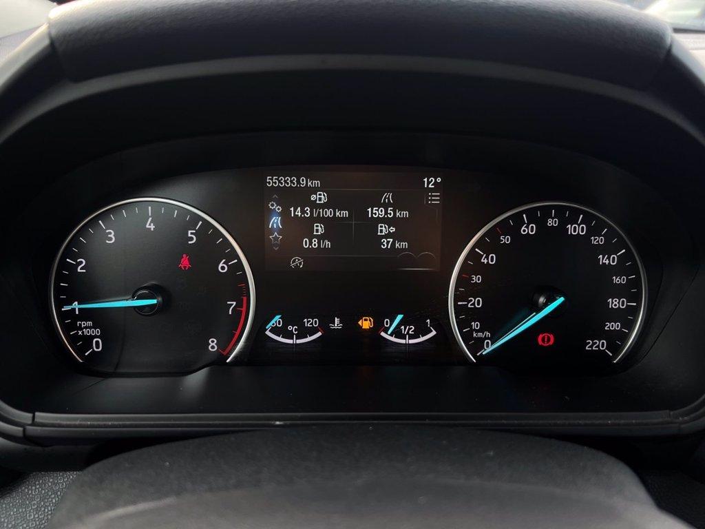 FORD EcoSport 1.0 EcoBoost 125 CV Start&Stop Active del 2022