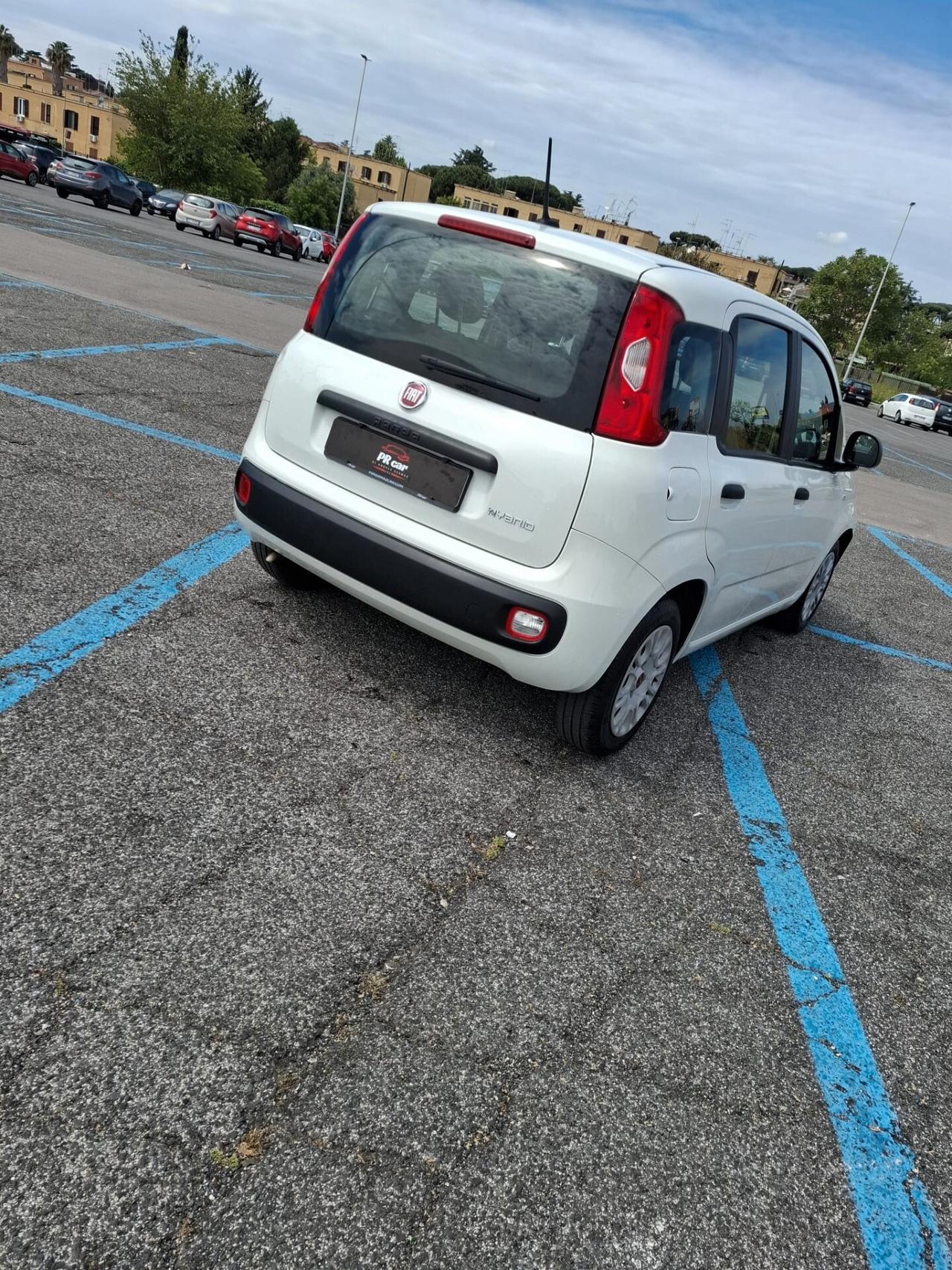 Fiat Panda 1.0 FireFly S&S Hybrid NOLEGGIO