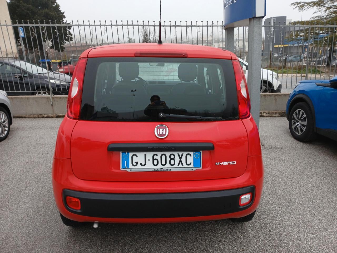 Fiat Panda 1.0 FIREFLY 70CV HYBRID 2022 5POSTI