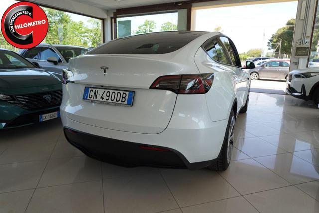 TESLA Model Y RWD
