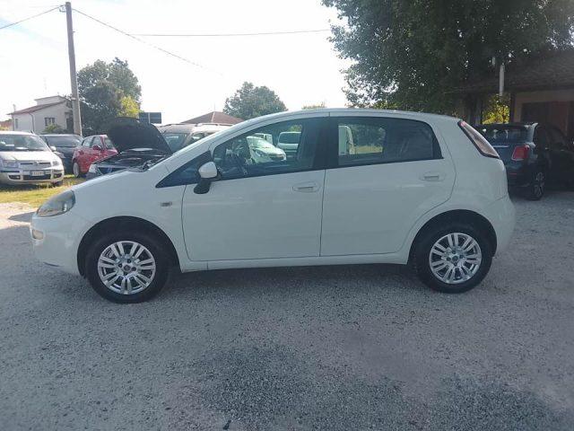 FIAT Punto 1.4 8V 5 porte Natural Power Lounge