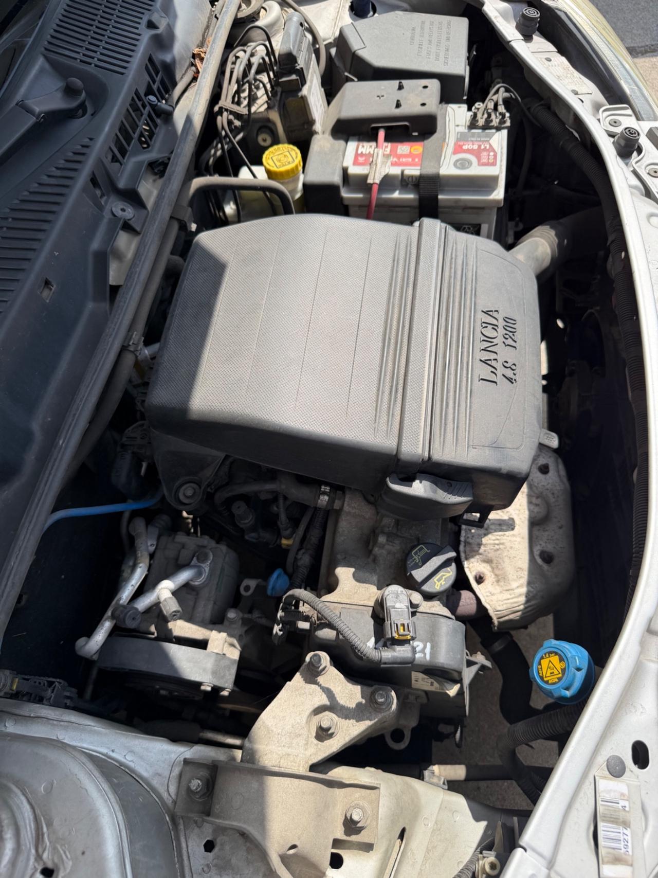 Lancia Ypsilon 1.2 B-colore- cinghia sostituita-neopatentati-Garanzia