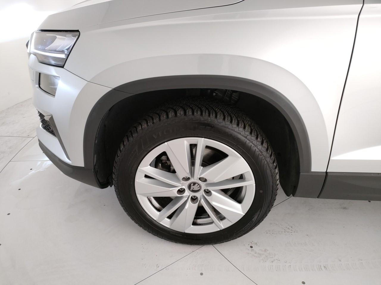 SKODA Karoq 2.0 tdi evo Executive 150cv dsg
