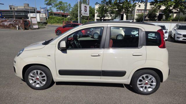 FIAT Panda 1.2 Lounge PERMUTE NEOPATENTATI 5 POSTI