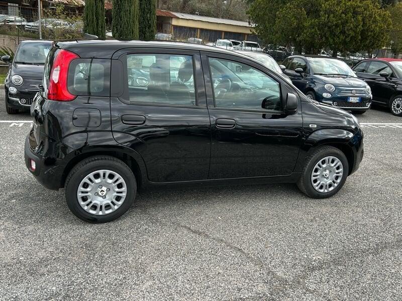 FIAT Panda New 1.0 70cv Hybrid Panda