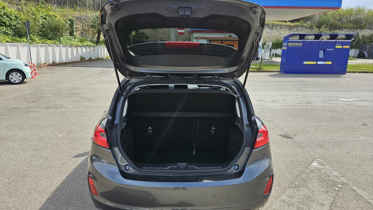 Ford Fiesta 1.0 Ecoboost Hybrid 125 CV 5 porte Titanium