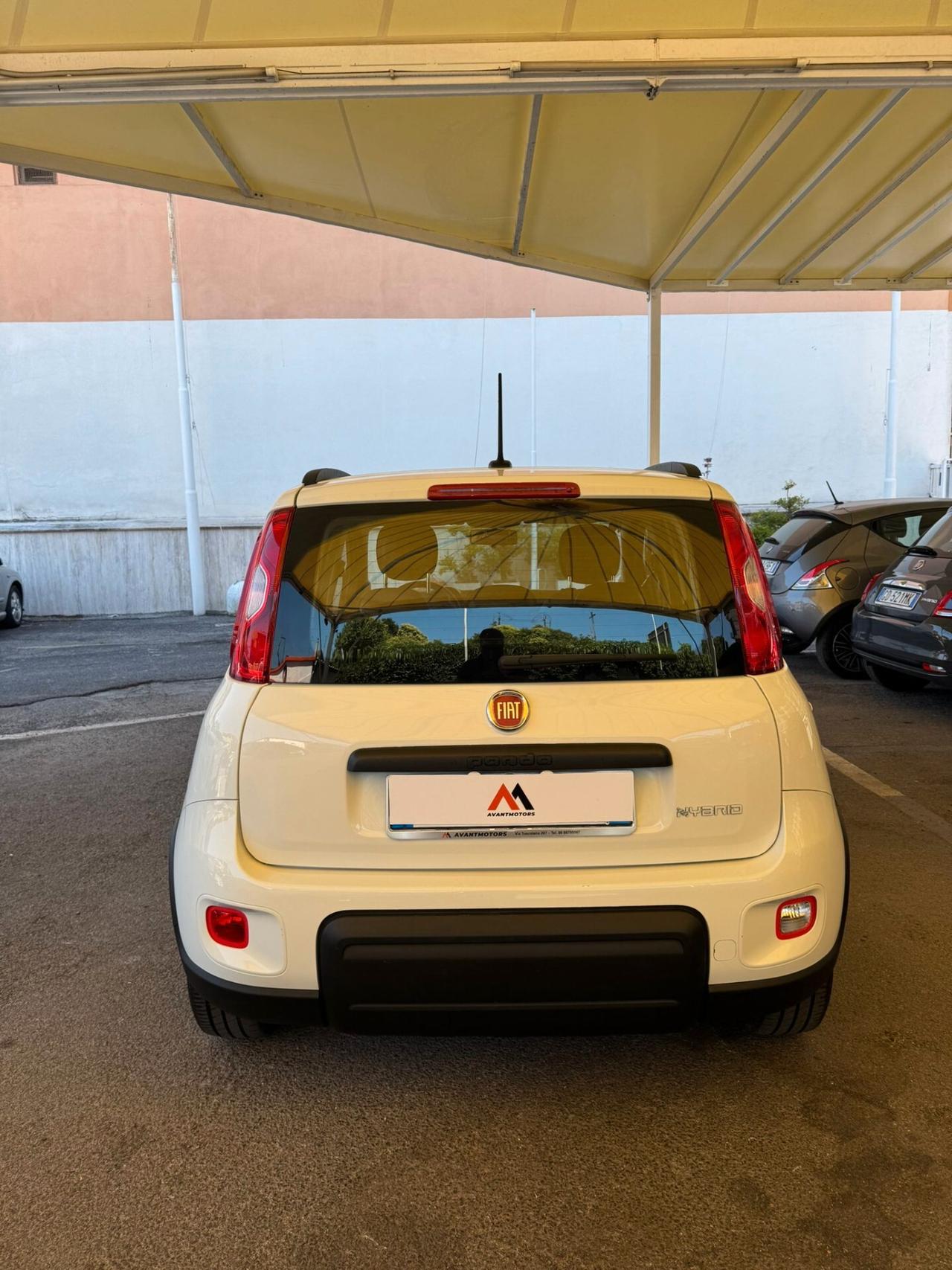FIAT PANDA 1.0 FIREFLY S&S HYBRID **PREZZO REALE**