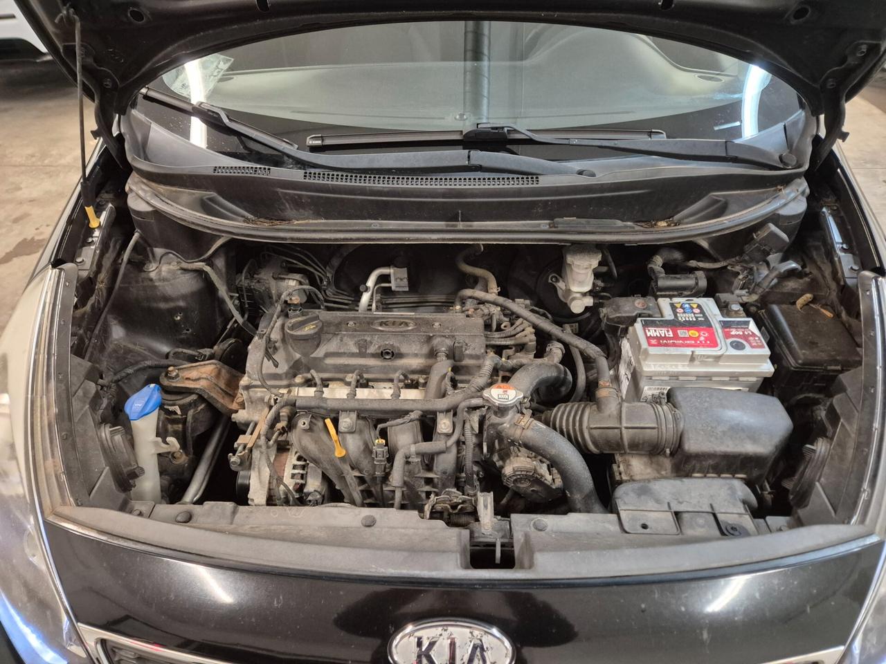 Kia Rio 1.2 CVVT 5p. EX PLUS BELLISSIMA