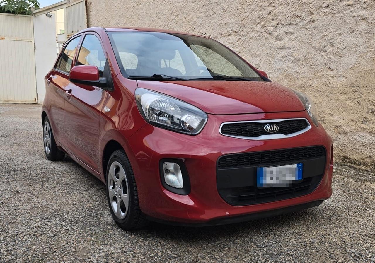 Kia Picanto 1.0 66 CV 5 porte Active