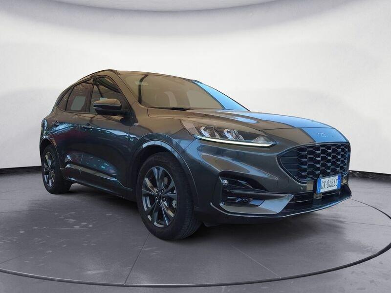 Ford Kuga 1.5 EcoBlue 120CV 2WD ST-Line