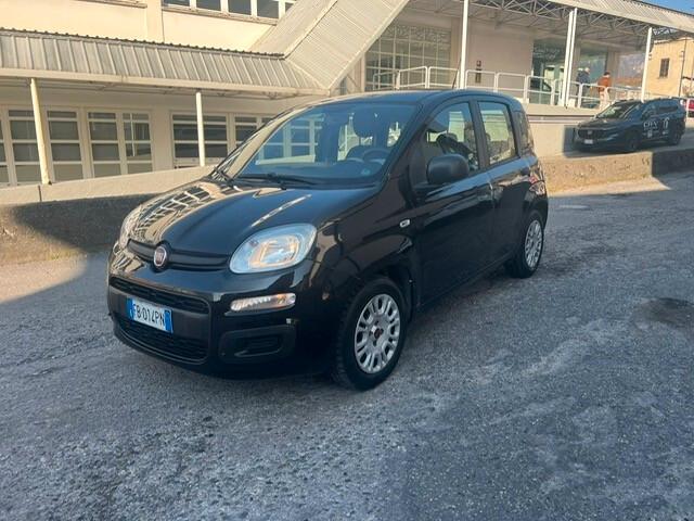 Fiat Panda 1.2 Easy-71000km-NEOPATENTATI-5POSTI