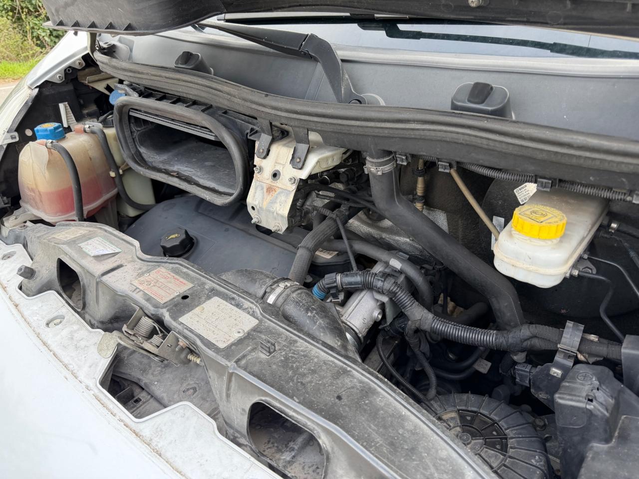 Minibus/ Ducato 9 posti euro 8.800