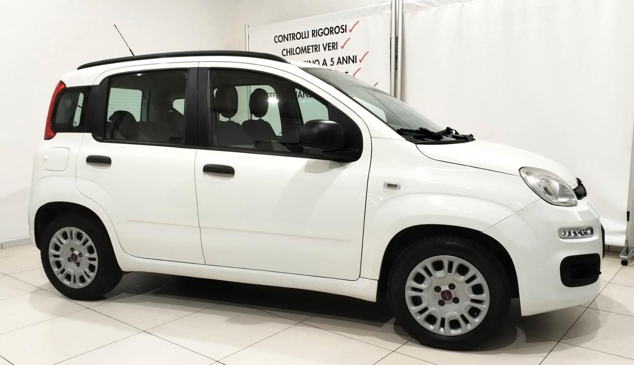 Fiat Panda 1.2 Easy