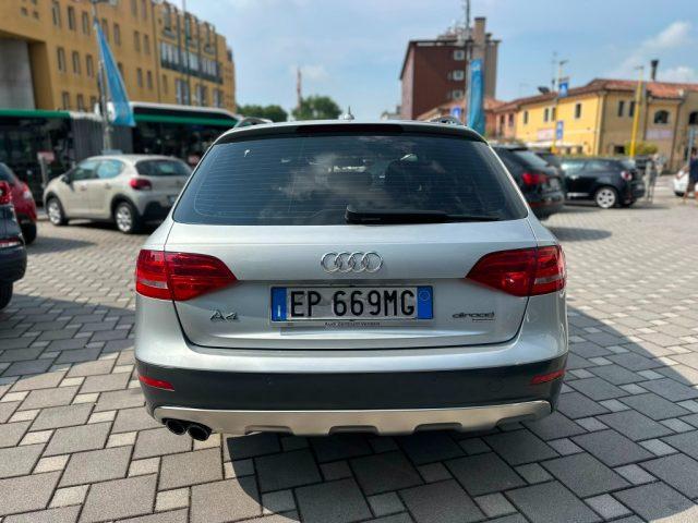 AUDI A4 allroad 2.0 TDI 177 CV Business