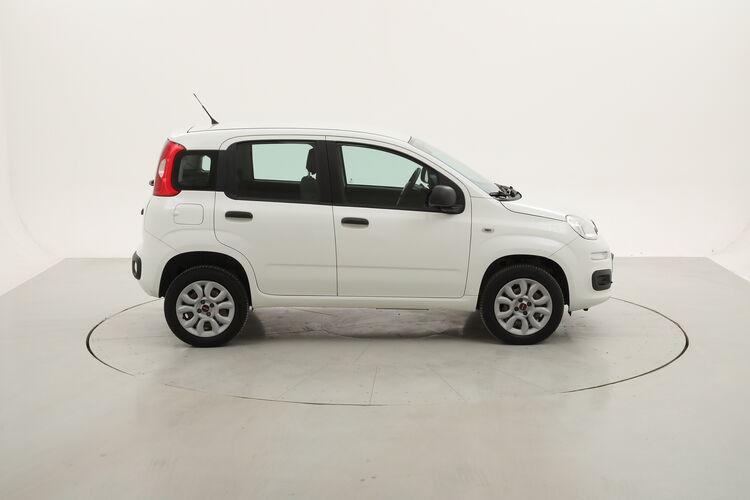 Fiat Panda Easy Natural Power BR105235 0.9 Metano 85CV