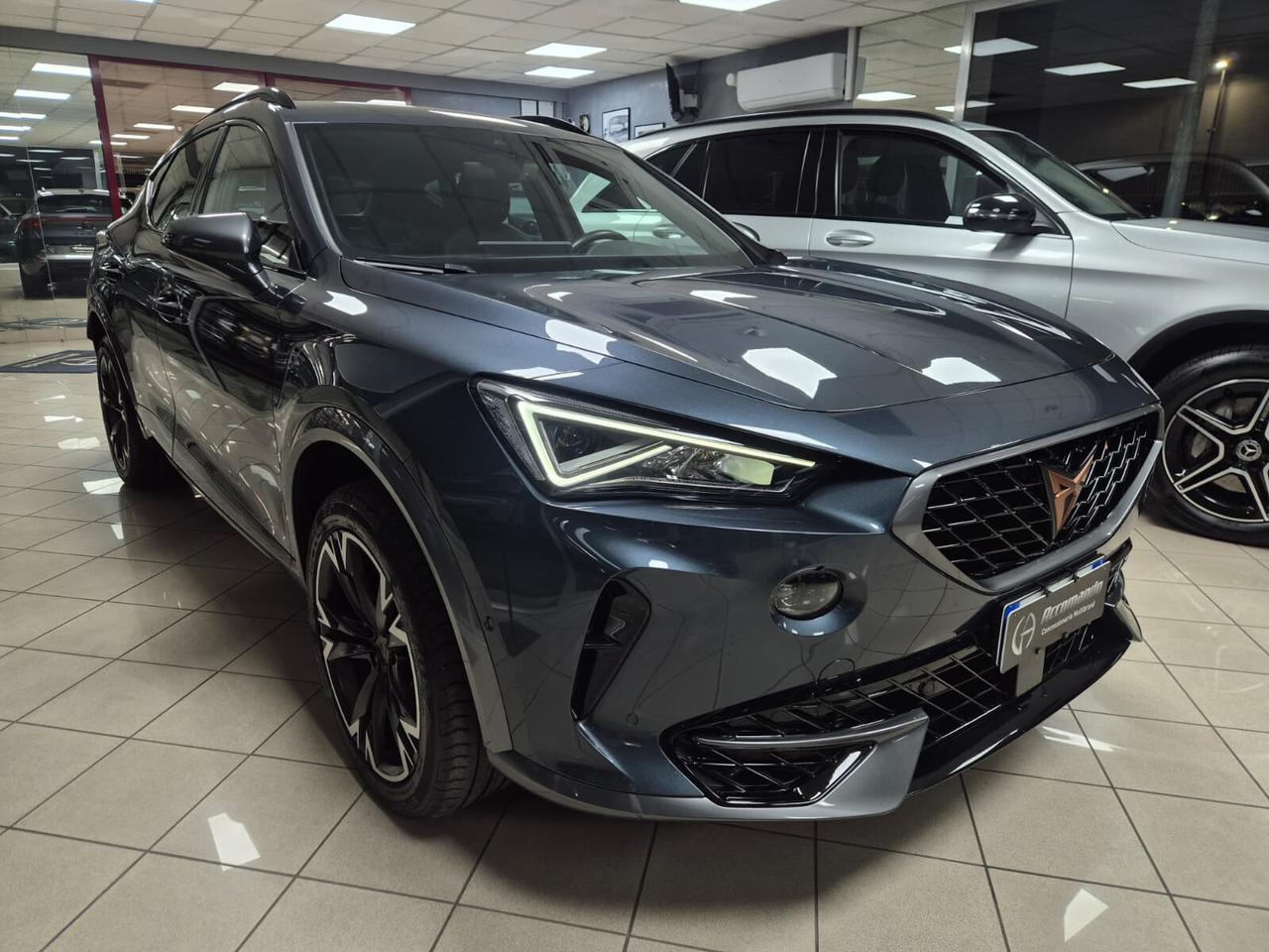 Cupra Formentor 2.0 TDI 150CV 4Drive DSG