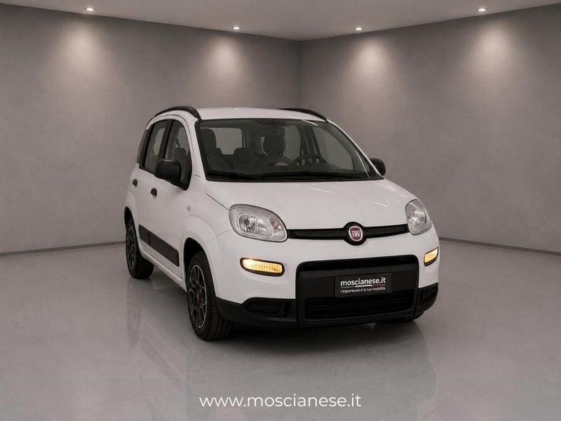 FIAT Panda 1.0 FireFly 70cv S&S Hybrid City Life