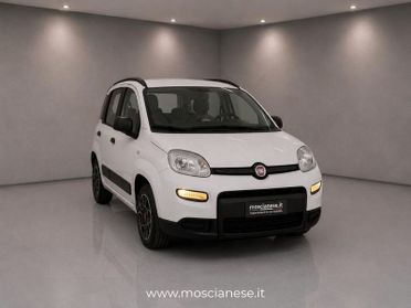 FIAT Panda 1.0 FireFly 70cv S&S Hybrid City Life