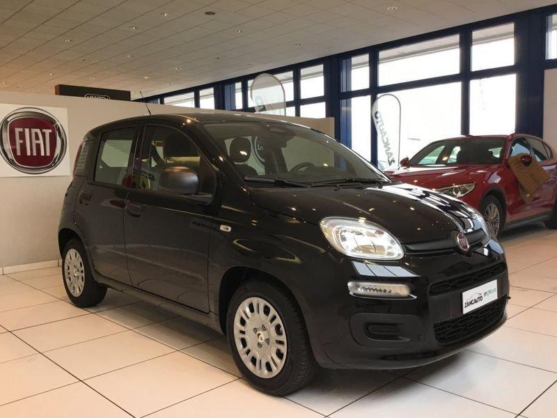 FIAT Panda Panda 1.0 FireFly S&S Hybrid Icon 65cv 4 posti