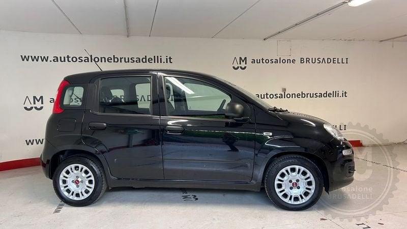 FIAT Panda Panda 1.0 FireFly S&S Hybrid 5 POSTI *PREZZO REALE*