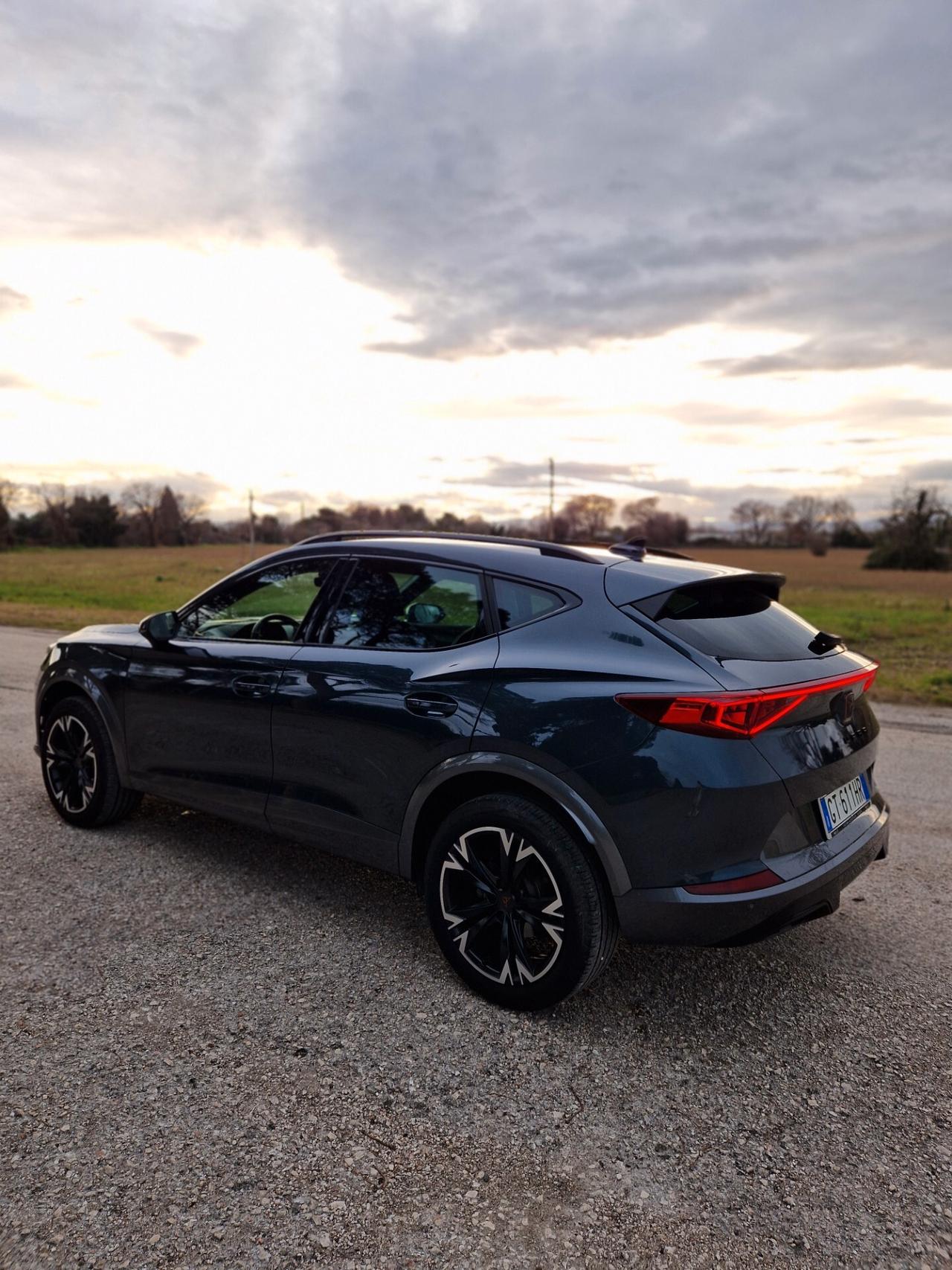 Cupra Formentor 2.0 TDI 4x4 DSG garanzia ufficiale