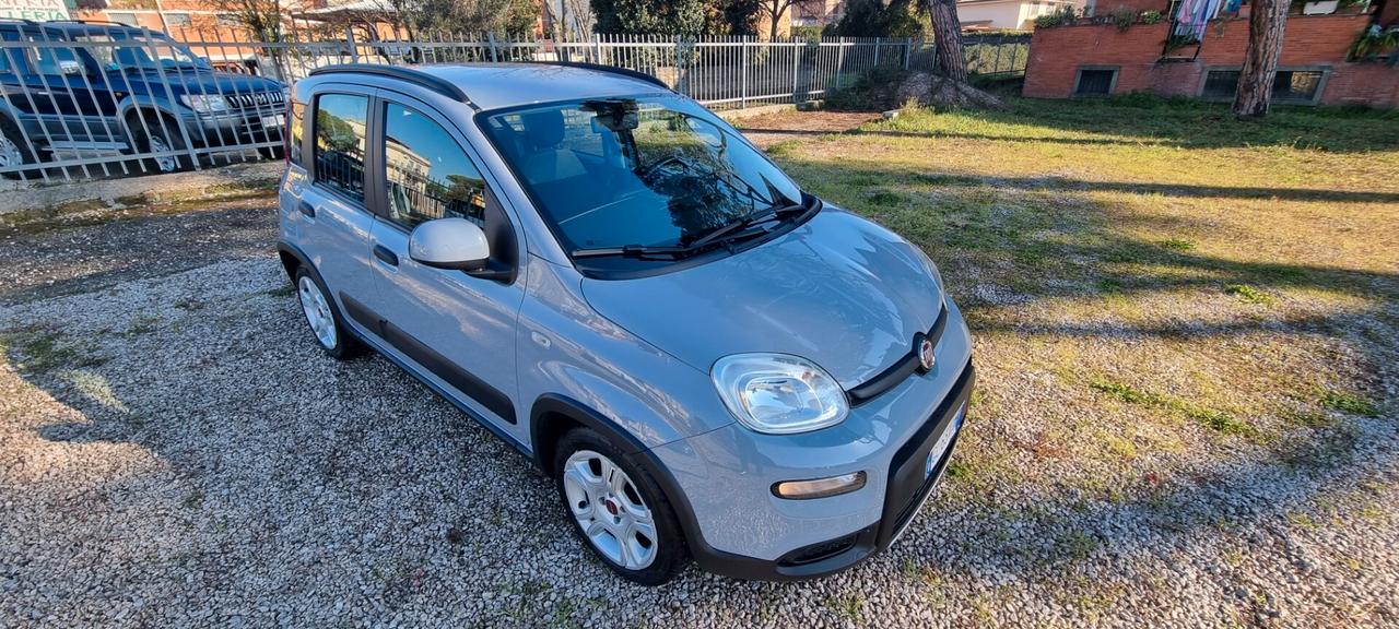 Fiat Panda 1.0 FireFly S&S Hybrid