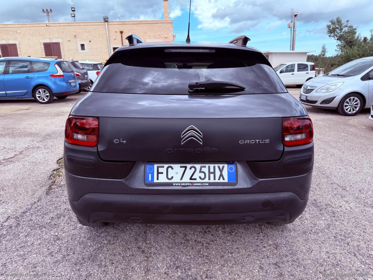 CITROEN C4 Cactus BlueHDi 100 Shine