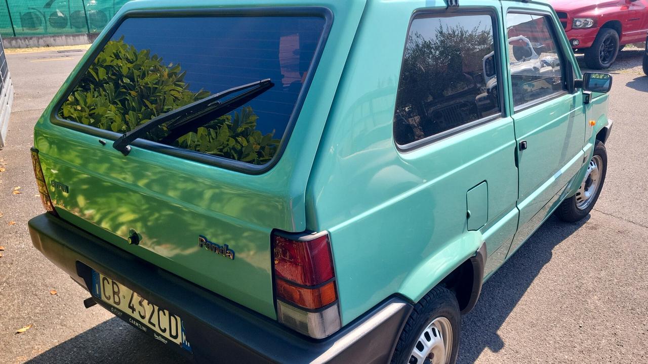 Fiat Panda 1100 i.e. cat Young