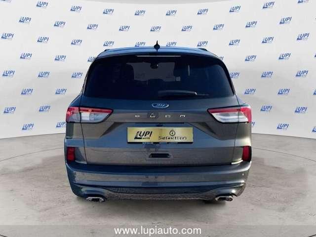 Ford Kuga 1.5 ecoblue ST-Line 2wd 120cv auto