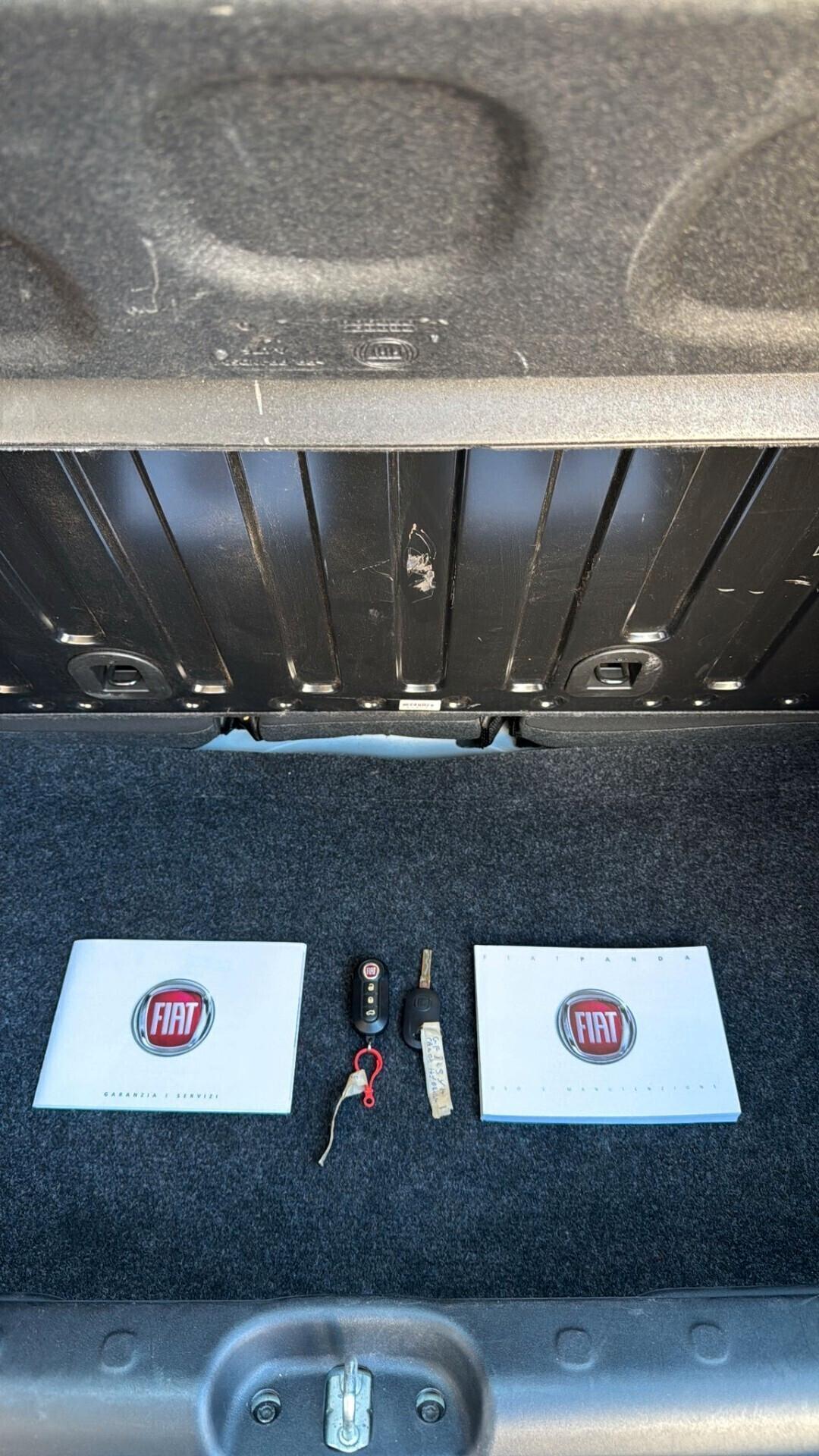 Fiat Panda 1.0 FireFly S&S Hybrid Elettrica - Benzina