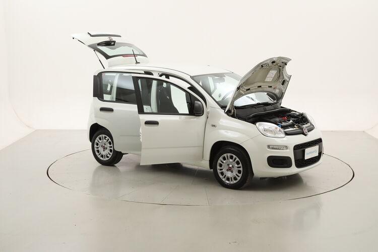 Fiat Panda Easy BZ685454 1.2 Benzina 69CV