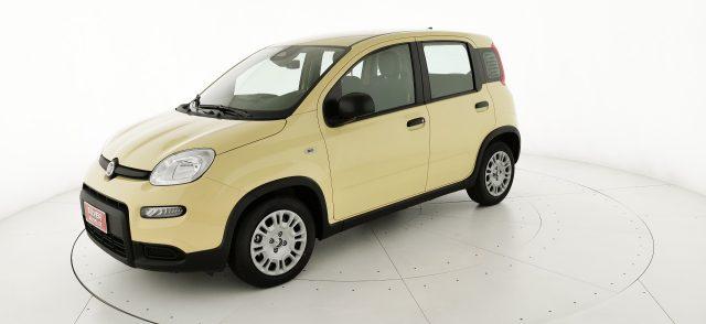 FIAT Panda 1.0 FireFly S&S Hybrid - KM ZERO