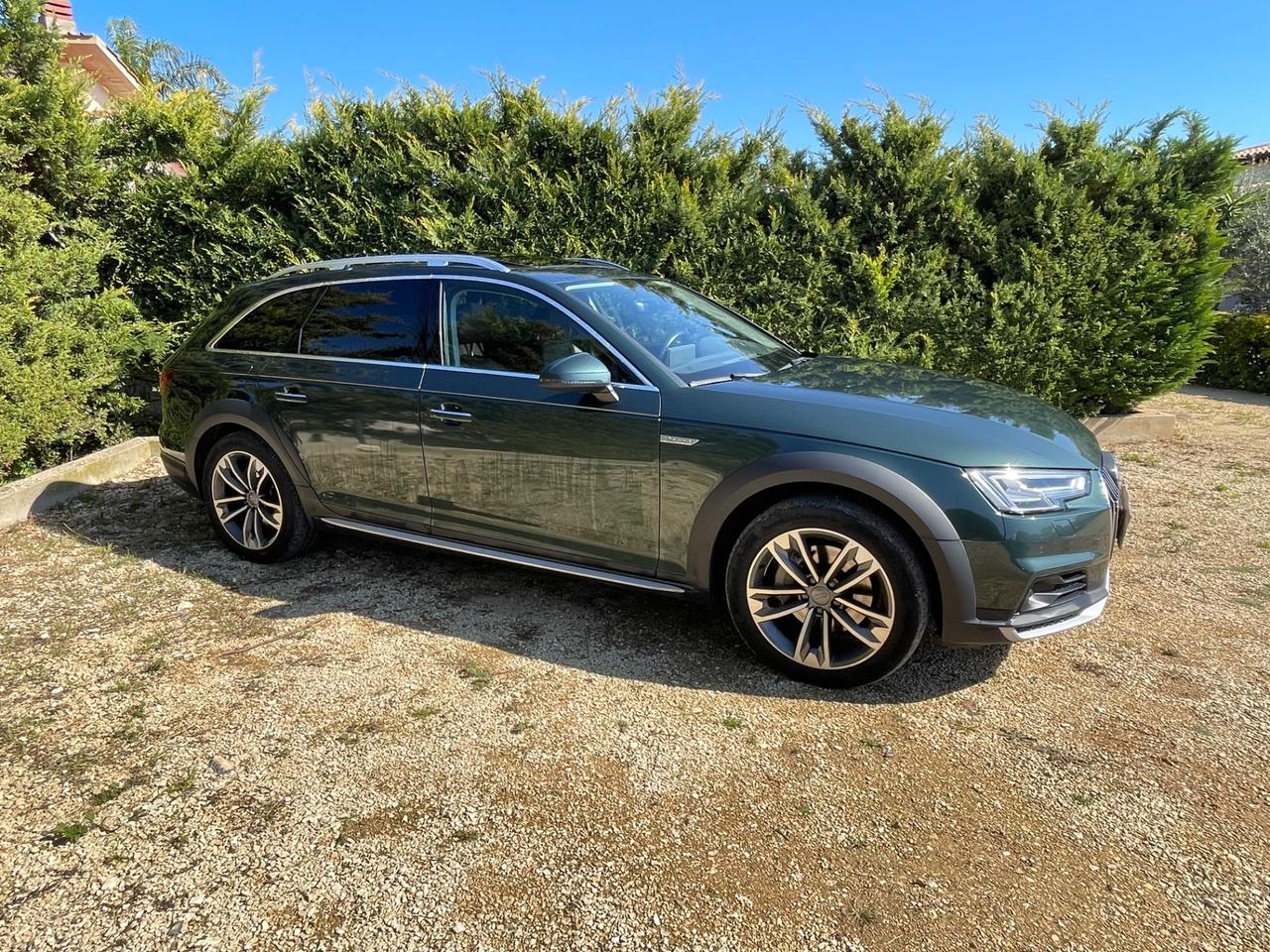 Audi A4 allroad 3.0 TDI 218 CV S tronic Business Evolution