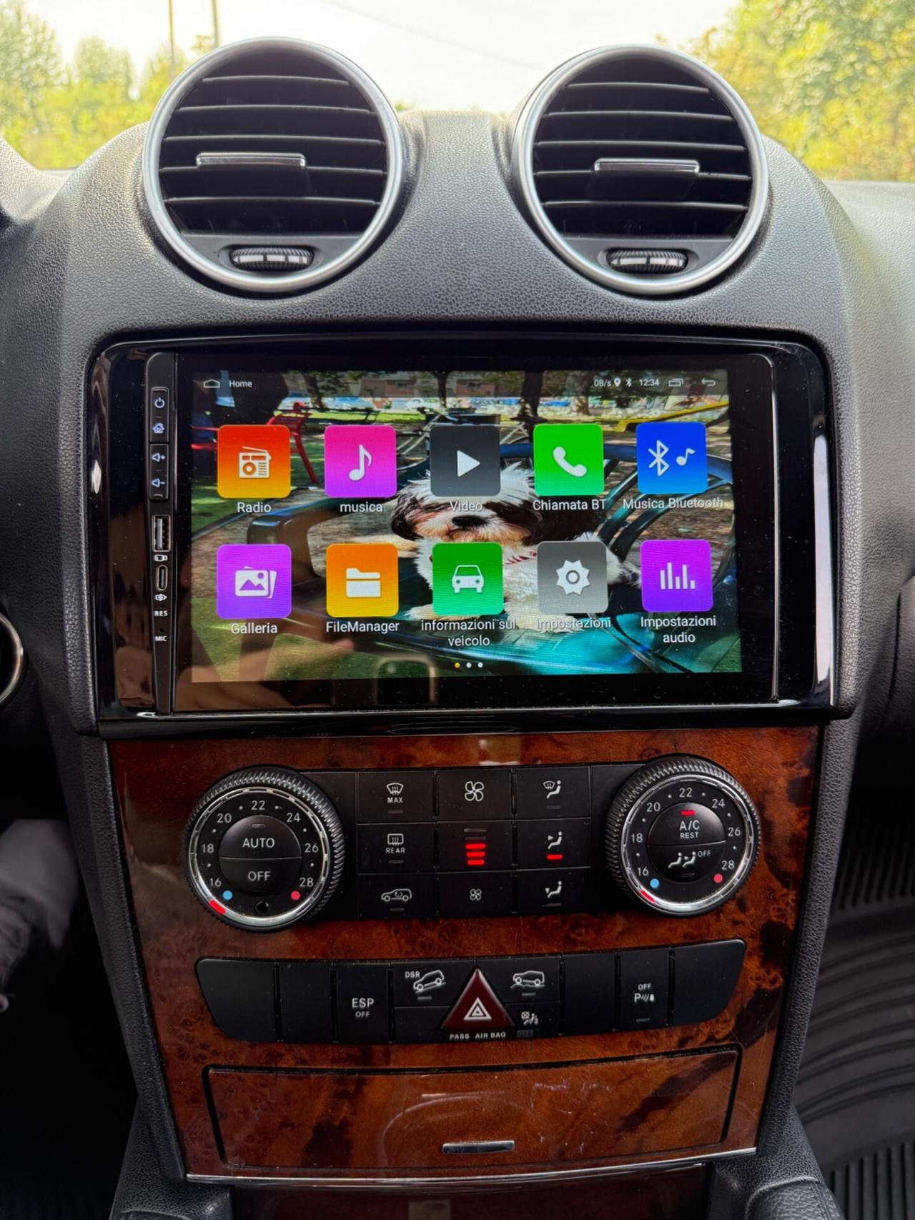 Mercedes-benz ML 280 300 CDI BlueEFFICIENCY