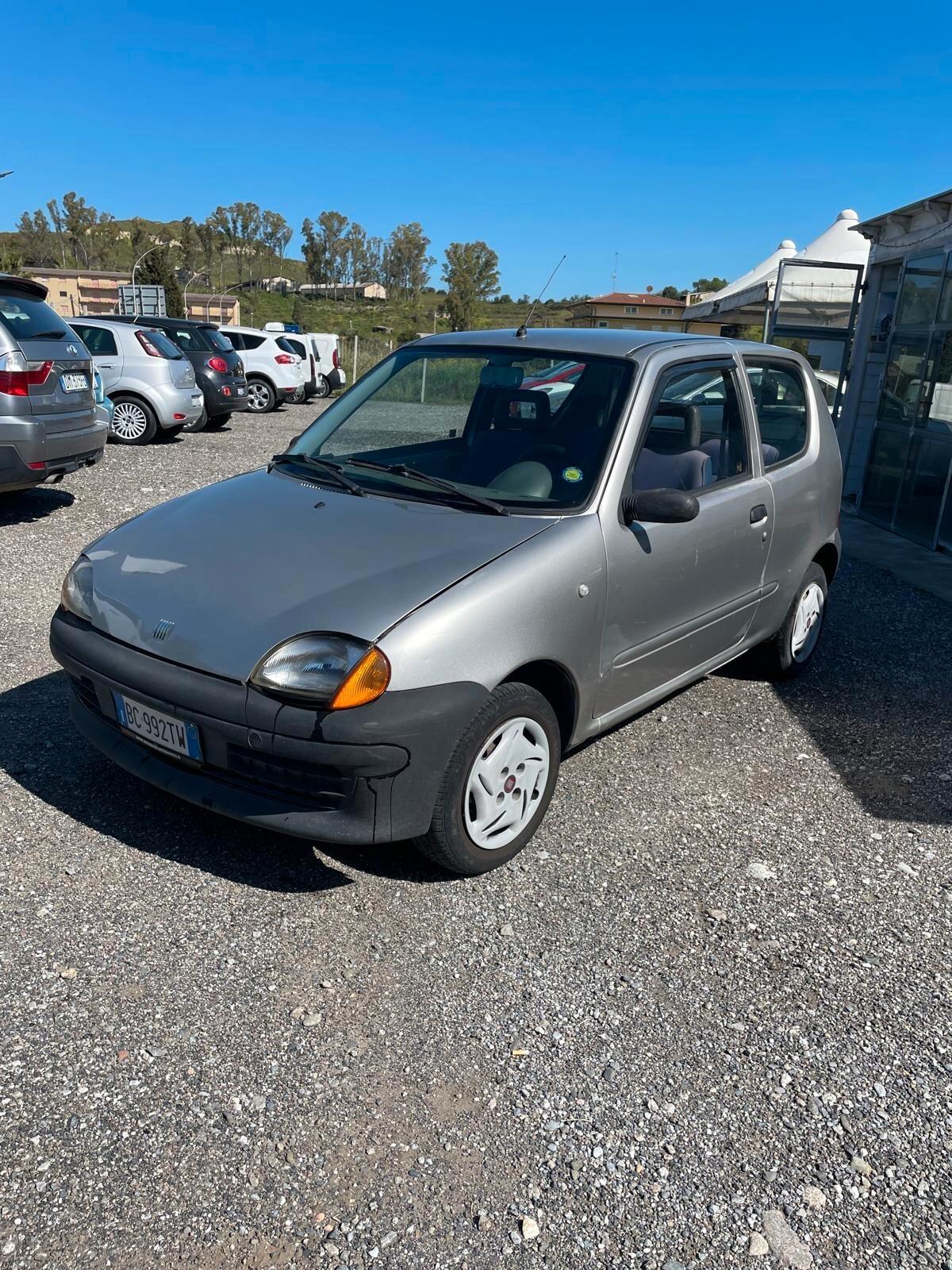 Fiat Seicento 900i cat Young
