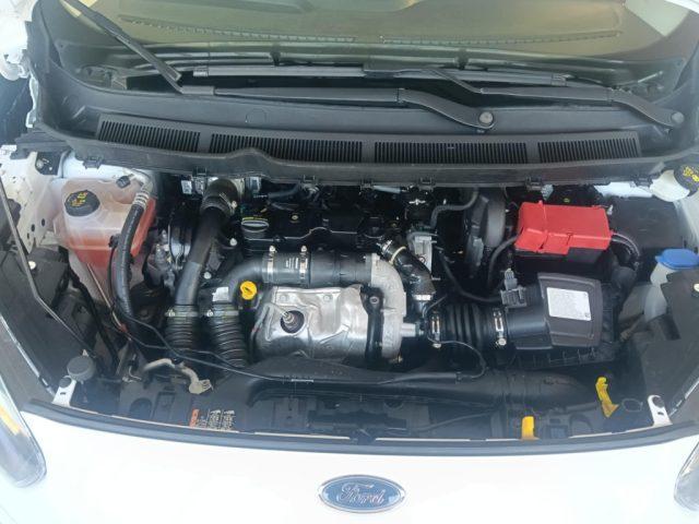 FORD Transit Courier 1.5 TDCi 75CV Van hcpp cover